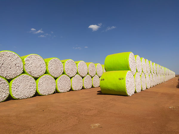 12-e-31-1 JBS recicla 6 mil toneladas de plástico em 2024